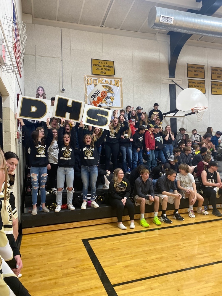 student section 